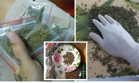 Phó Thủ tướng yêu cầu làm rõ thông tin mua bán cần sa trên mạng