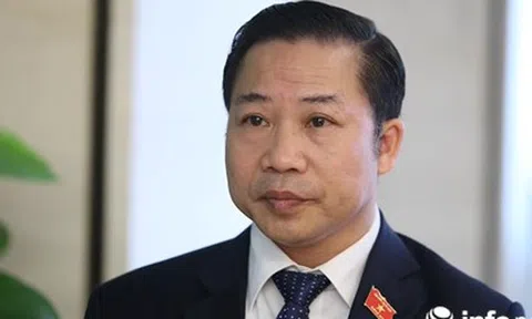 Bắt ông Phan Văn Vĩnh: Nếu không quyết tâm, làm sao moi được vụ việc tày trời