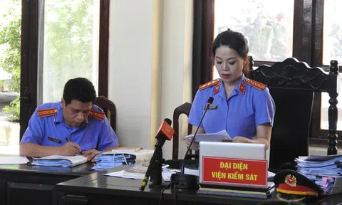 Vì sao VKS đề nghị trả hồ sơ điều tra bổ sung vụ bác sĩ Hoàng Công Lương?