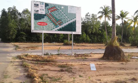 Xử lý 238 tập thể, 944 cá nhân sai phạm về đất đai