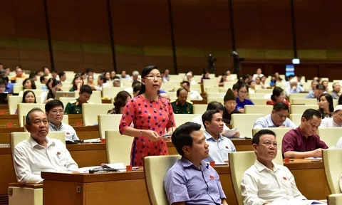 ĐBQH: Đại án tham nhũng nghìn tỷ, hỏi sao dân không chua xót?