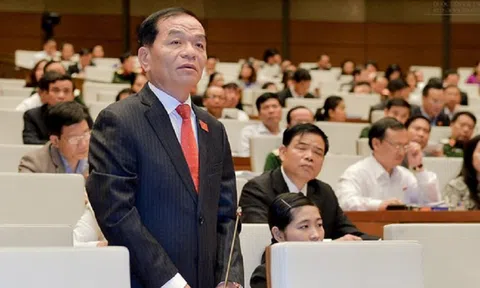ĐBQH Lê Thanh Vân:  Tham nhũng quyền lực hậu quả nặng hơn tham nhũng kinh tế, cần phải được xử lý bằng Luật Hình sự