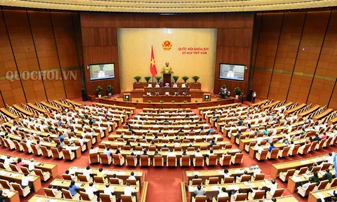 Sửa 13 luật liên quan đến luật Quy hoạch