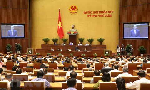 Những trường hợp xâm hại tình dục kể cả người bị hại sẽ được xét xử kín