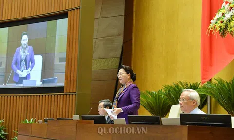 Đặc xá nhiều năm mới làm một lần để không trùng với tha tù trước thời hạn
