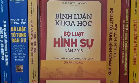 Chuyên gia hình sự bình luận về các tội danh trong BLHS 2015