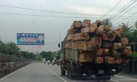 Tiền Giang điều tra và xử lý hàng loạt vụ án tham nhũng