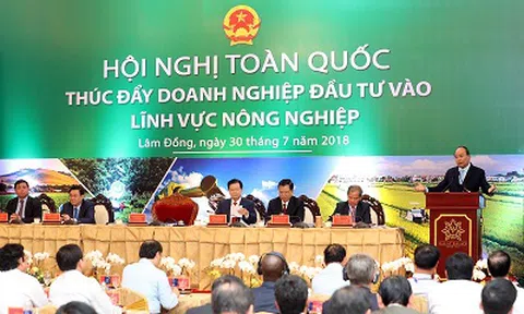 Chính phủ và cộng đồng doanh nghiệp cần chung sức để đưa Việt Nam vươn lên vị trí hàng đầu thế giới về nông sản