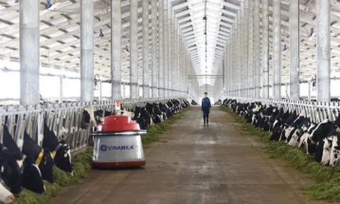 Vinamilk tiên phong giới thiệu sữa tươi 100% A2 đầu tiên tại Việt Nam