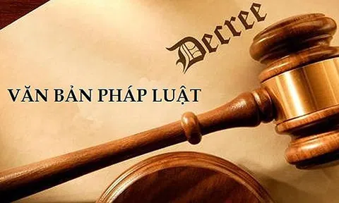 Phó Thủ tướng yêu cầu khẩn trương xử lý các văn bản trái pháp luật