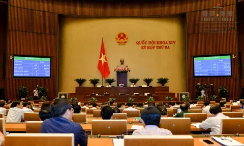 Bổ sung quy định thi hành án hình sự đối với pháp nhân thương mại bị kết tội và tha tù trước thời hạn có điều kiện vào Luật Thi hành án hình sự