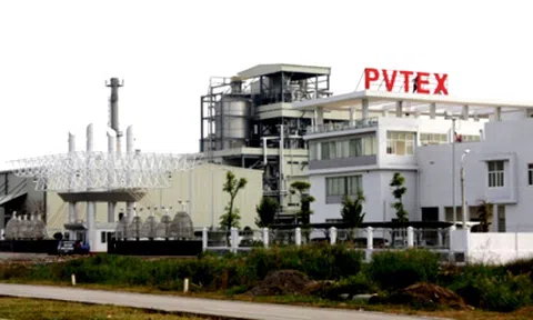 Gây thất thoát 19 tỷ đồng, dàn lãnh đạo PVTEX hầu tòa vào ngày mai