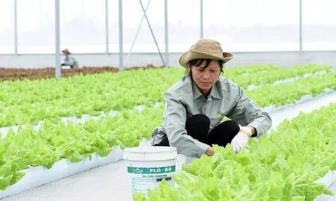 Chính sách nổi bật có hiệu lực từ tháng 8/2018