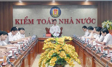 Kiểm toán Nhà nước: Kiến nghị xử lý tài chính 231.946 tỷ đồng