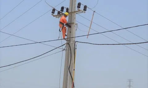 Tcty điện lực Miền Bắc nỗ lực đảm bảo cung ứng điện phục vụ nhân dân trong đợt nắng nóng và khắc phục thiên tai