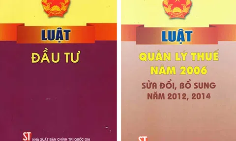 Để xử lý triệt để hành vi chuyển giá né thuế,  cần xây dựng Luật Chống chuyển giá