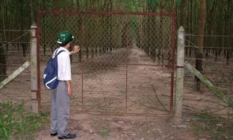 Truy tố nhiều bị can nguyên cán bộ tỉnh Bình Dương gây thiệt hại hơn 131 tỷ đồng