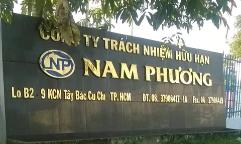 Bảo hiểm xã hội Việt Nam:  Kiên quyết đề nghị xử lý hình sự doanh nghiệp chây ỳ, nợ đọng BHXH kéo dài