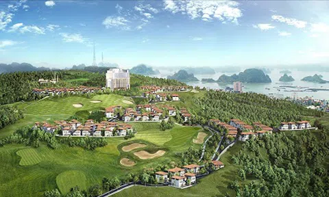 Royal Park được quảng bá tại nhiều thành phố lớn miền Bắc