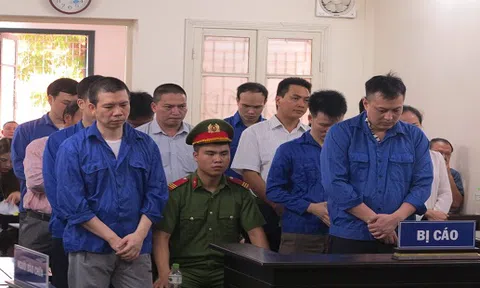 Tổng Giám đốc CIMCO cùng hàng loạt cán bộ ngân hàng lĩnh án