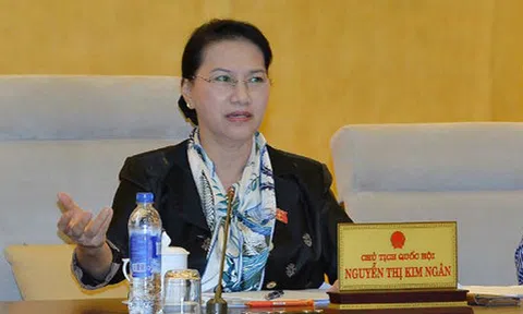 Chủ tịch Quốc hội: Từ 2019, cần đấu giá công khai trước khi giao đất