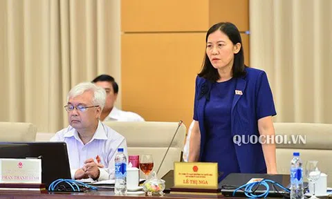 'Lợi ích nhóm, sân sau dần lộ diện qua nhiều vụ việc'
