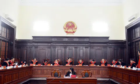 Công bố 11 án lệ mới