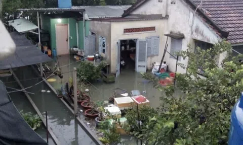 Tình hình khắc phục bão lũ sau cơn bão số 9 một số địa bàn ở TP. Hồ Chí Minh