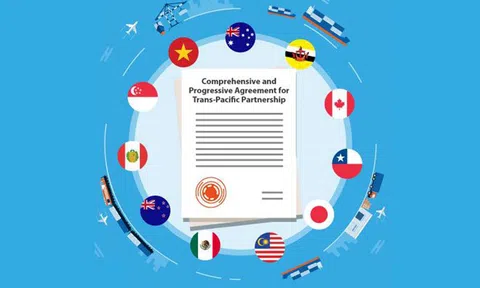 Sáng nay (2/11), Quốc hội nghe trình, xem xét phê chuẩn hiệp định CPTPP