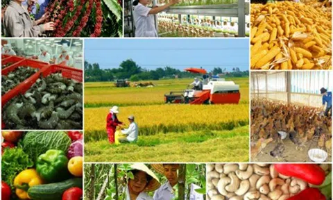Chuẩn bị tổng kết Nghị quyết TW5 tiếp tục đổi mới, nâng cao hiệu quả kinh tế tập thể