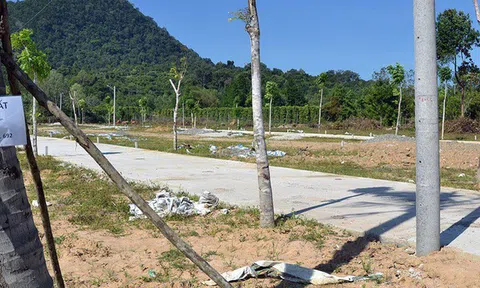 Phó Thủ tướng yêu cầu xử lý hình sự các vi phạm về đất đai tại Phú Quốc