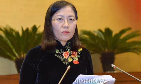 Vụ Vũ “nhôm”, Út “trọc” là điển hình cho vụ việc kéo dài, phát hiện chậm