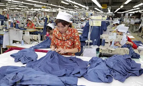 Giao dịch thương mại giúp tăng cường quan hệ kinh tế Việt Nam-Pháp