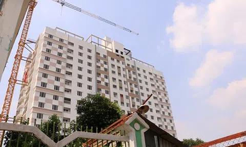 Hàng loạt chế tài xử phạt sai phạm liên quan đến lĩnh vực kinh tế quá nhẹ, không đủ sức răn đe