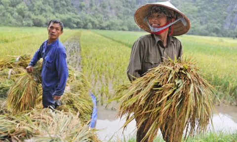Bảo hiểm xã hội cho nông dân - những khó khăn, vướng mắc cần tháo gỡ