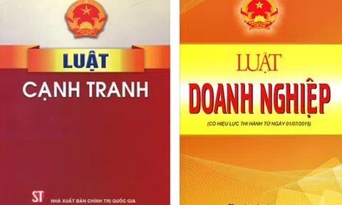 Hai vụ kiện “đình đám” và những vấn đề pháp luật về cạnh tranh, góp vốn cần lưu ý