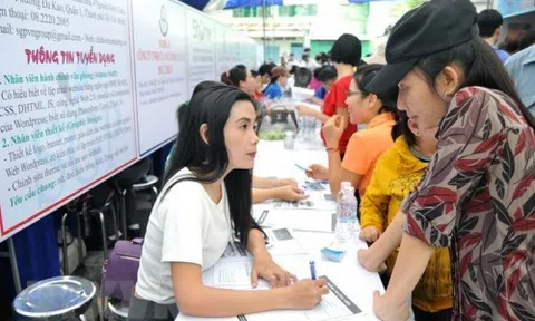 8 nghề mà doanh nghiệp xuất khẩu lao động Việt Nam bị cấm đưa người sang làm việc