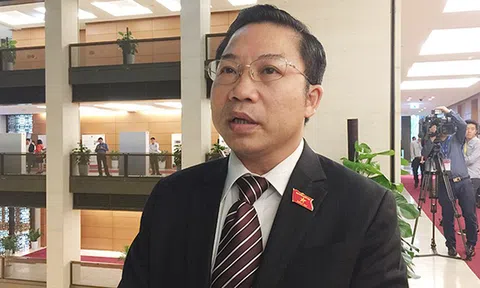 Xử lý sai phạm của ông Tất Thành Cang: "Đáng là củi thì phải đưa vào lò”