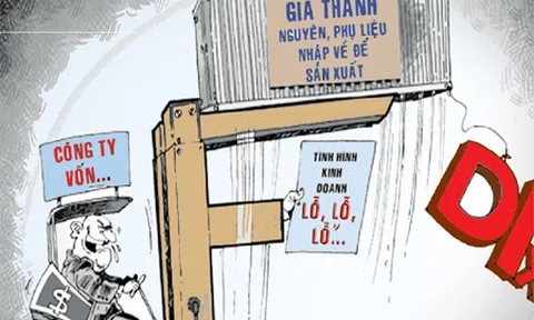 Nghị định chống chuyển giá và bài học đắt giá