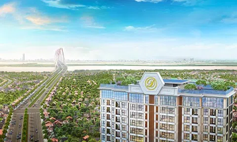 D'. El Dorado: Lựa chọn thể hiện vị thế của gia chủ
