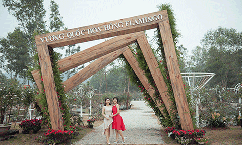 Lễ hội Hoa hồng - địa điểm nhất định phải “check in” Tết này