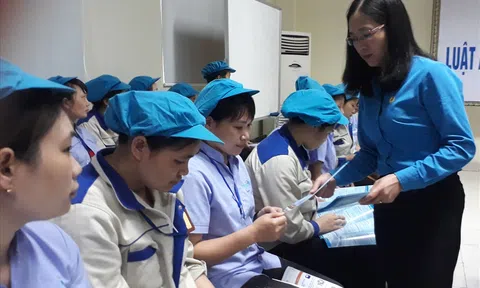 Giải quyết quyền lợi của người lao động trong trường hợp pháp nhân thương mại phạm tội