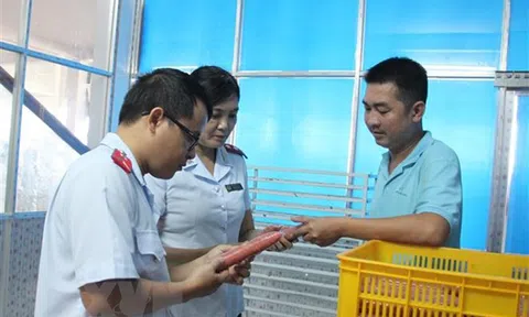 Ngành Thanh tra triển khai hơn 7.100 cuộc thanh tra hành chính và hơn 219.700 cuộc thanh tra, kiểm tra chuyên ngành