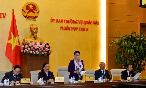 Quyết định cử Ủy viên Hội đồng tuyển chọn, giám sát Thẩm phán quốc gia tại Phiên họp 30 UBTVQH