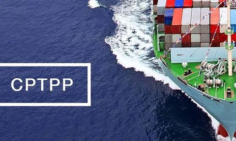 Xóa bỏ gần 98% dòng thuế vào năm thứ 11 tham gia CPTPP
