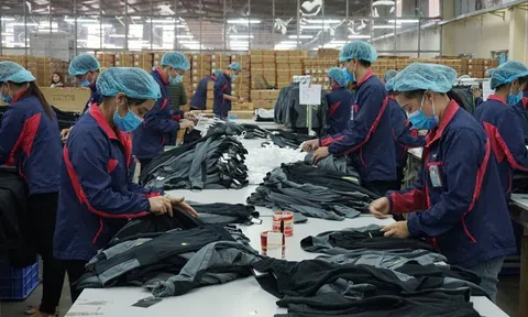Những quy định pháp luật liên quan đến hành vi vi phạm trong lĩnh vực BHXH, BHYT, BHTN