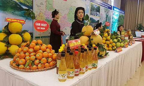 Du lịch Bắc Giang- Kết nối du lịch tâm linh với du lịch vùng cây ăn quả