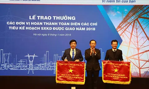 Chào Xuân Kỷ Hợi 2019 - Tổng công ty Điện lực miền Bắc hướng đến sự hài lòng khách hàng