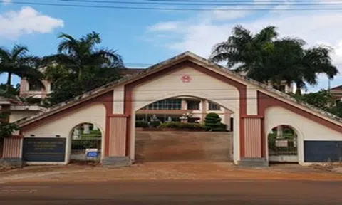 Khởi tố nguyên Phó Chủ tịch huyện lấn chiếm đất rừng