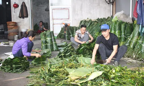 Làng bánh chưng ở Thủ đô